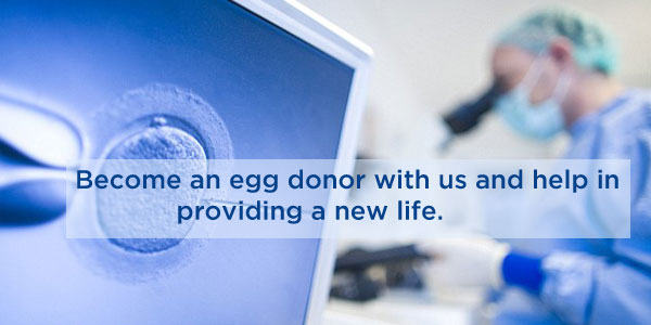 best egg donor agency