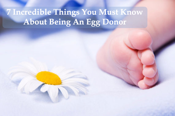 Egg Donor