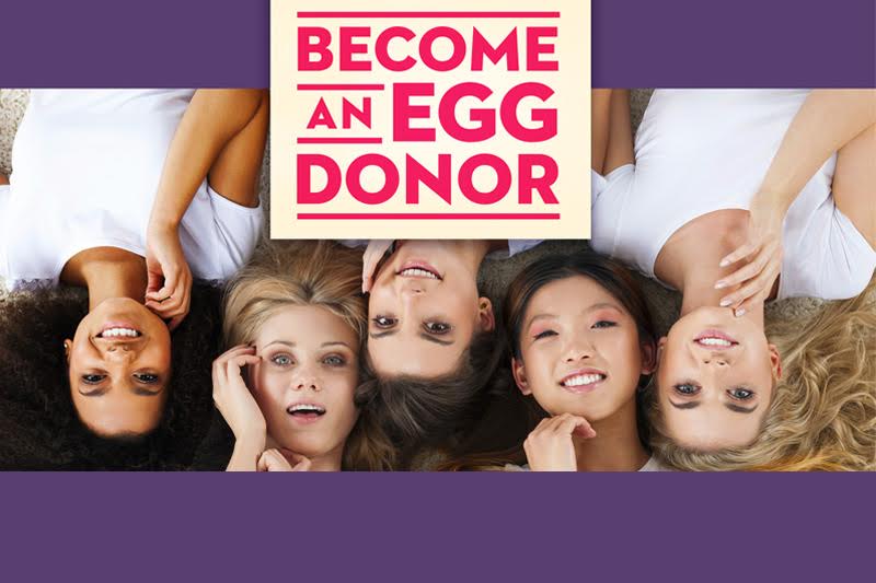 become an egg donor