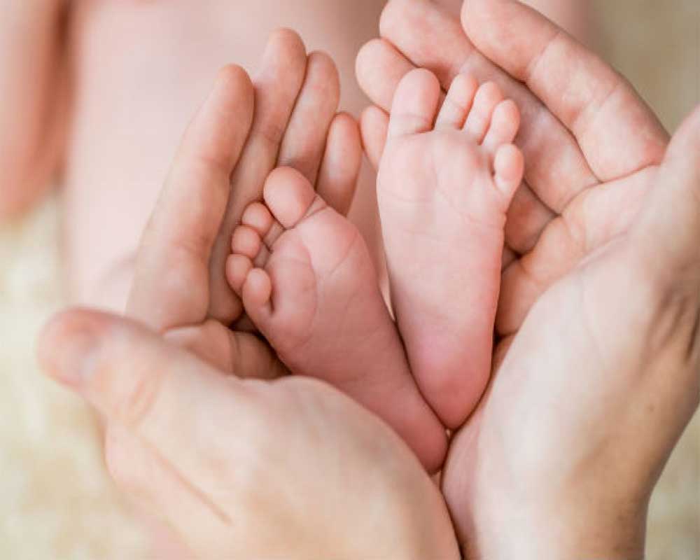 Surrogacy Agencies in Canada