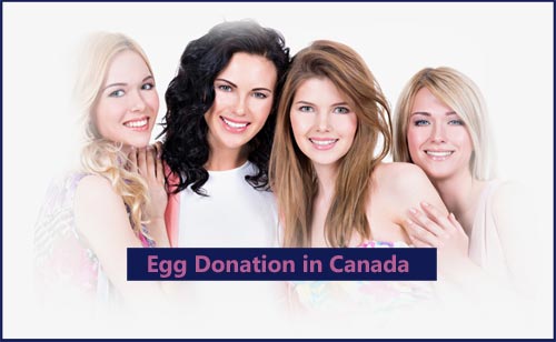 egg donation agency in Canada
