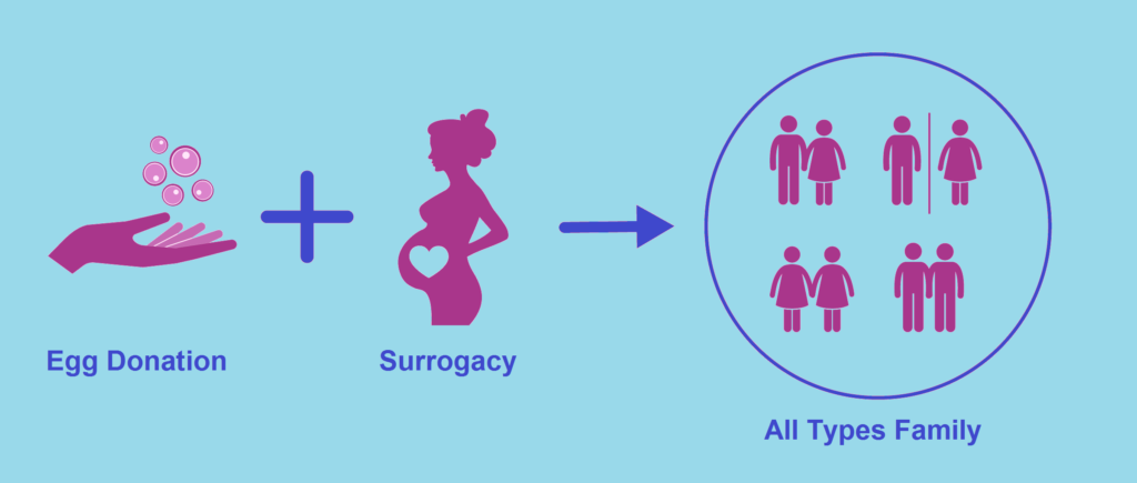 Surrogacy via egg donation