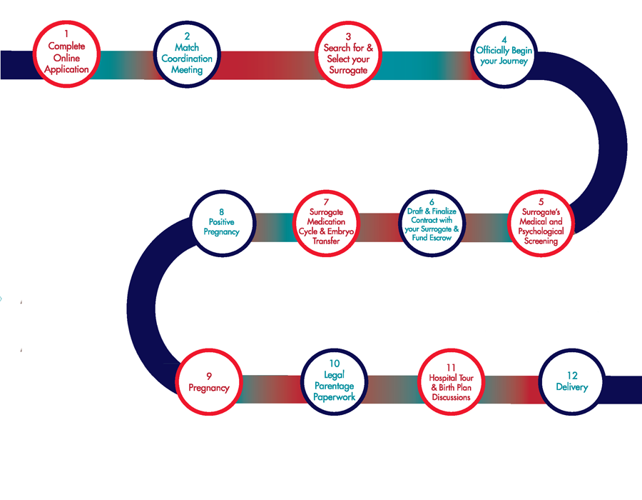 surrogacy process for intended parents