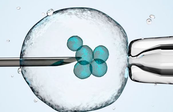 IVF treatment in UK