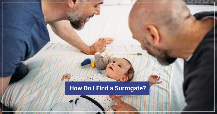 same sex surrogacy in USA