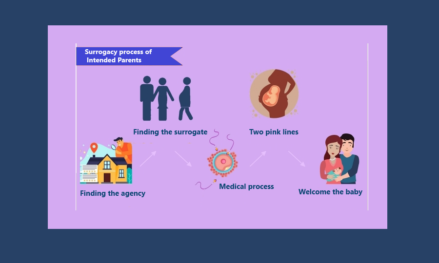 surrogacy process in france