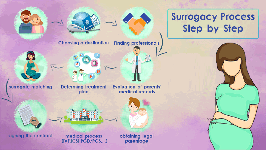 Surrogacy Process And Cost Best Guide For International Surrogacy Laws In 2022 