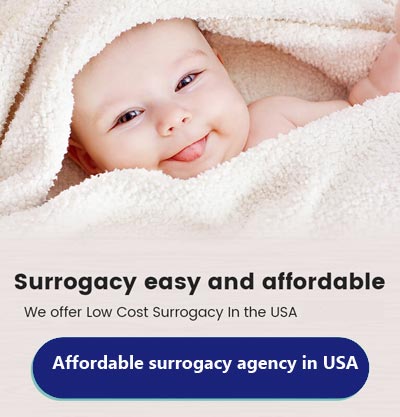 surrogacy cost in USA