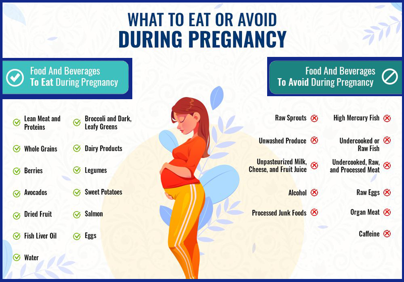 pregnancy nutrition guide