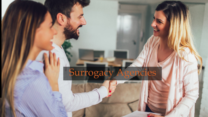 Ethical Surrogacy Agency